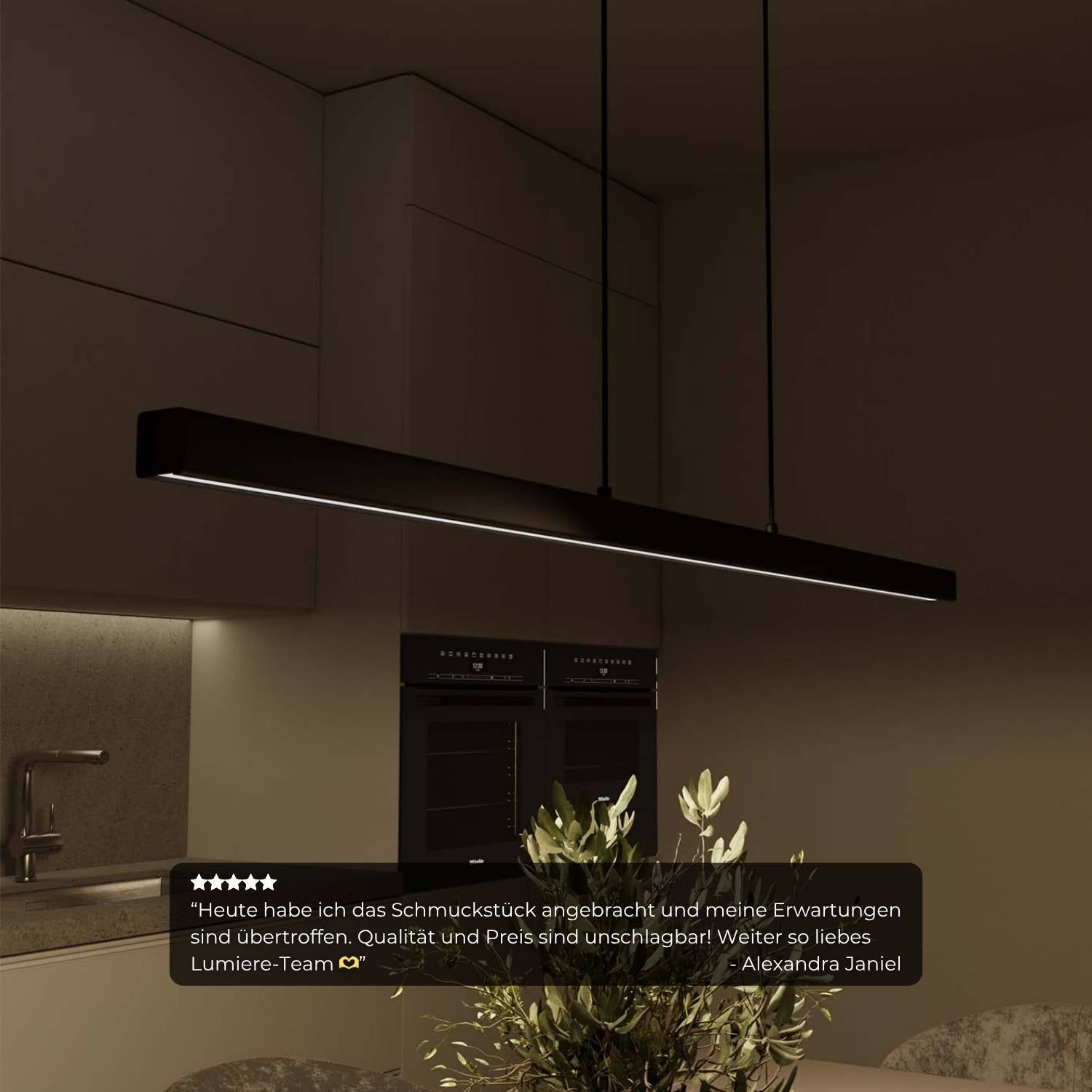 Dali-2 dt8: calimera-ontwerper hanglamp